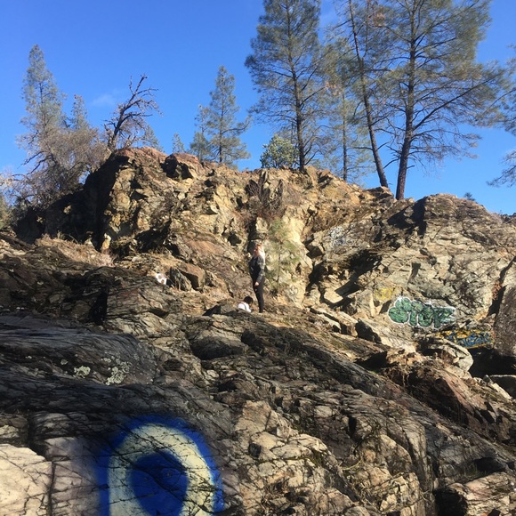 Meet your Posher, Ashley - Picture 1 of 1